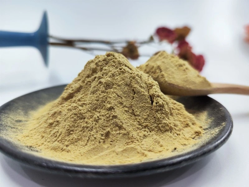False Purslane Extract False Purslane Extract